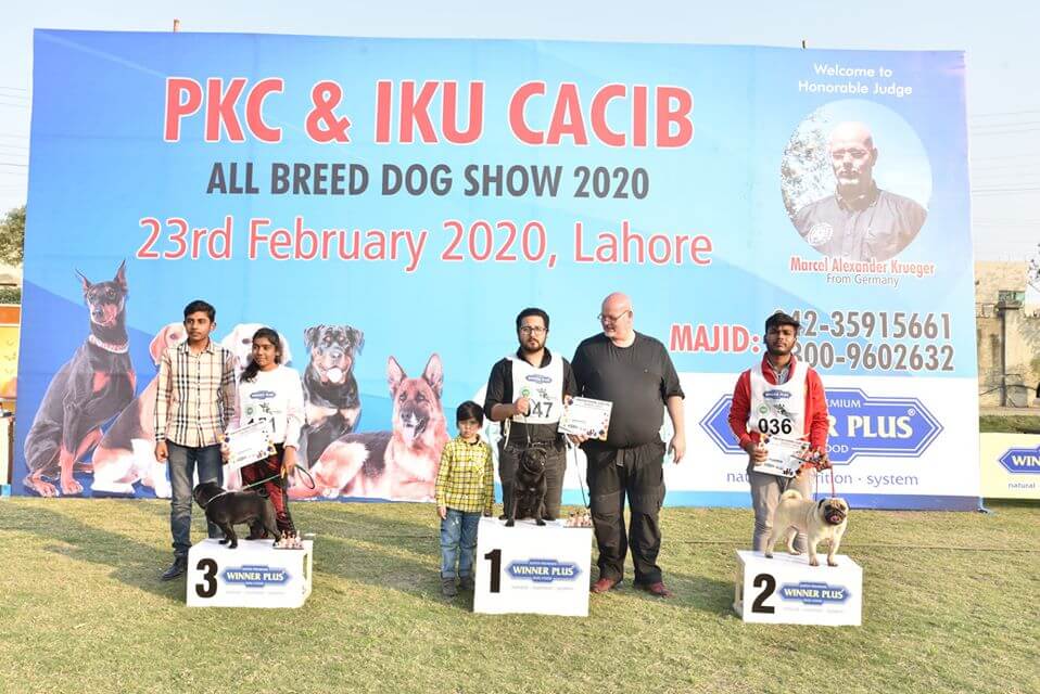 127